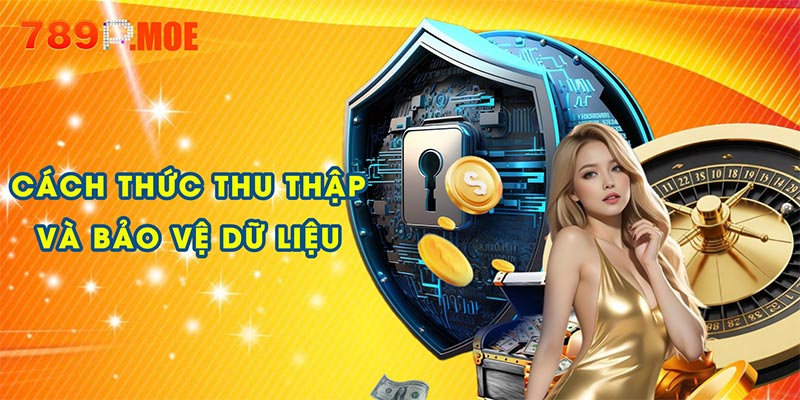 Cách thức thu thập và bảo vệ dữ liệu