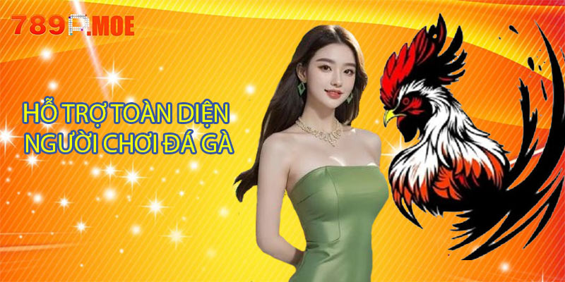 Hỗ trợ toàn diện cho người chơi đá gà 789P