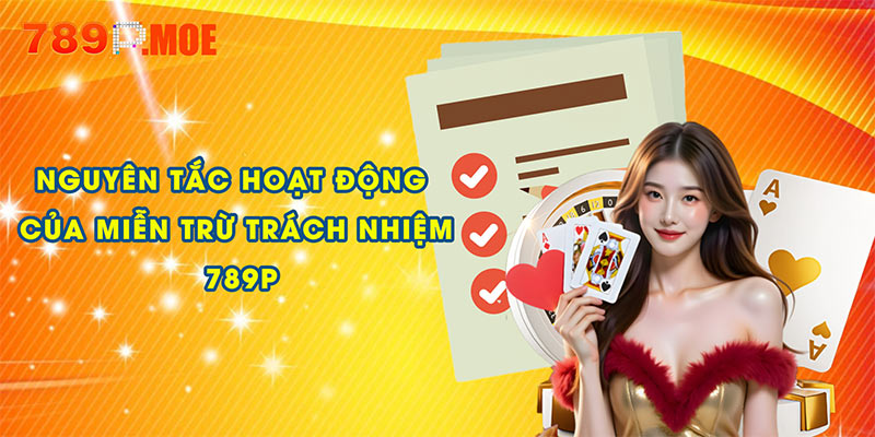 Nguyên tắc hoạt động của miễn trừ trách nhiệm 789P